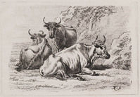 KG 01535
<br/>
Koeien
<br/>
<em>Klein, Johann Adam (1792-1875)</em>